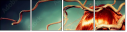 57362714