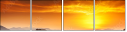 57394810