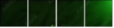 57479075