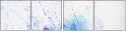 57523611