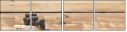 57608269