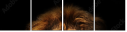 57644723