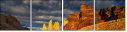 57649944