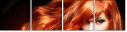 57663589