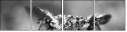 57830545