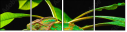 57907029