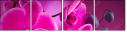 58002130