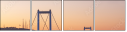 58063281
