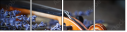 58289530