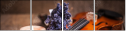 58289639