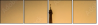 58384995