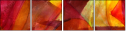 58509774