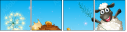 58518361