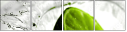 58535251