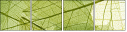 58647115