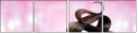 58689994