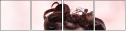 58689997