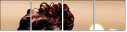 58690004