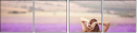 58710194