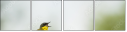 58740604