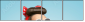 58844946