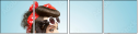 58893273