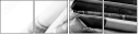58912446