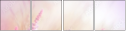 58998785