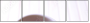 59034418