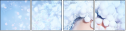 59169724
