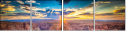 59176983