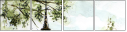 59355405