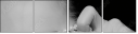 59364579