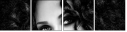 59435794