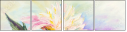 59475820