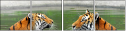 59476374