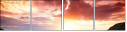 59476911