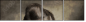 59478658