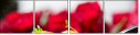59513928