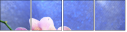 59560560