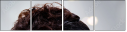 59618094