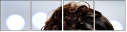59618096