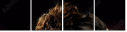 59618104