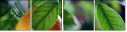 59633815