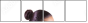 59701070