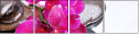59704886