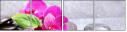 59767586