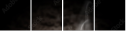 59781702