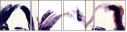 59807989