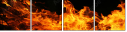 59859879